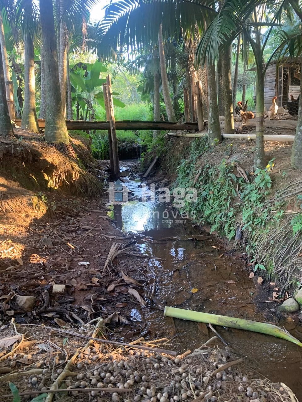 Chácara de 5.548 m² em Tijucas, SC