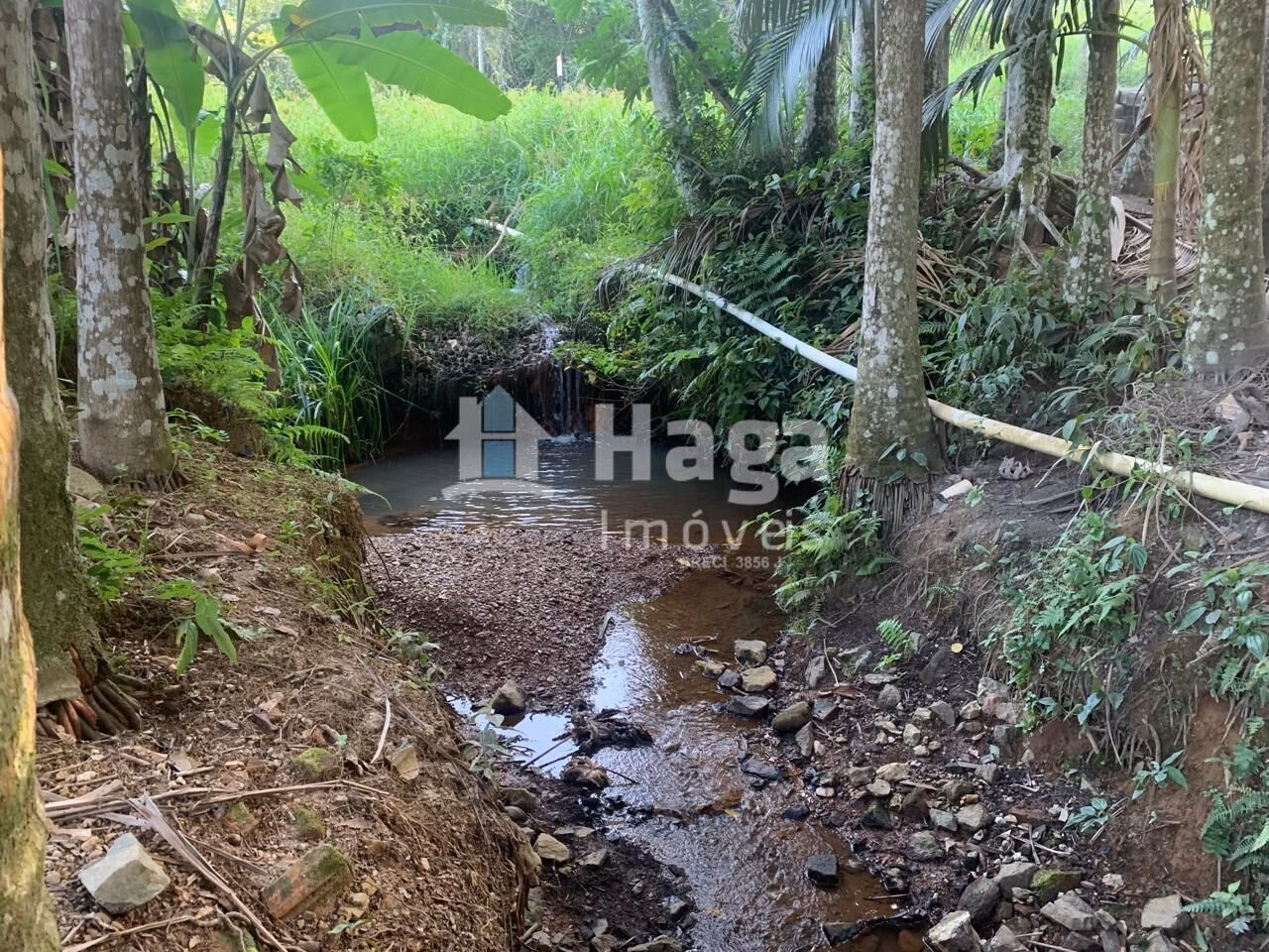 Chácara de 5.548 m² em Tijucas, SC