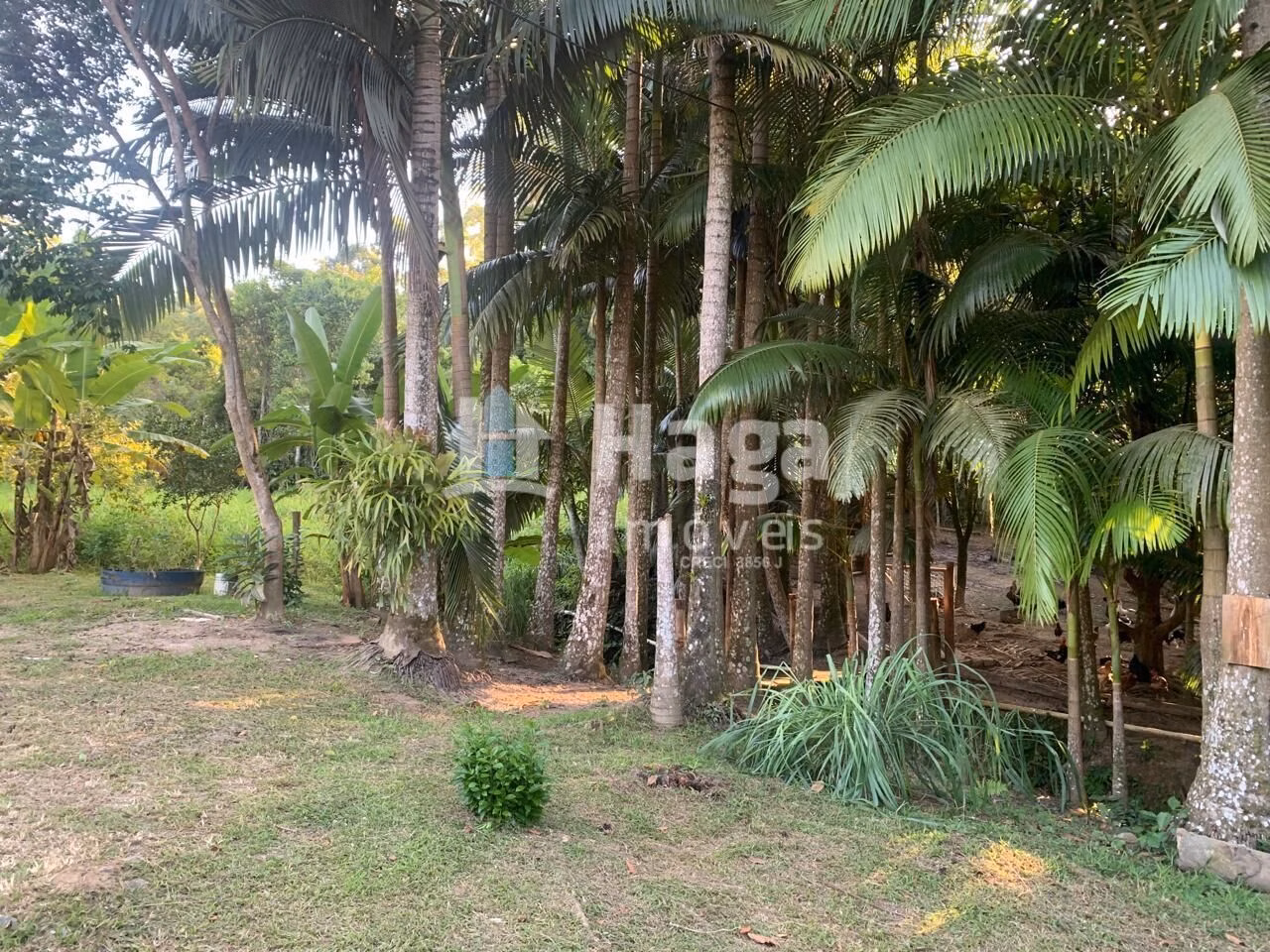 Chácara de 5.548 m² em Tijucas, SC