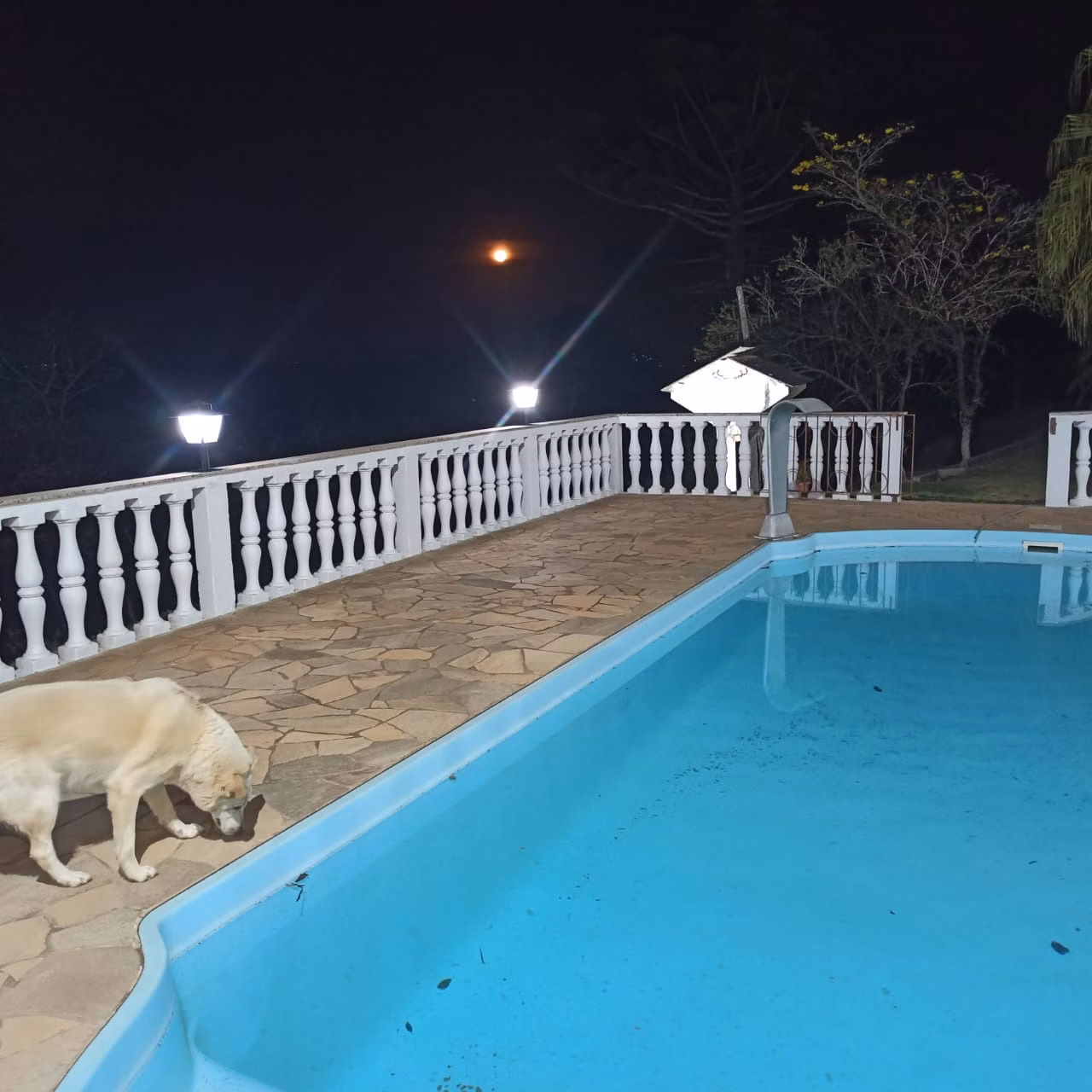 Chácara de 1 ha em São José dos Campos, SP
