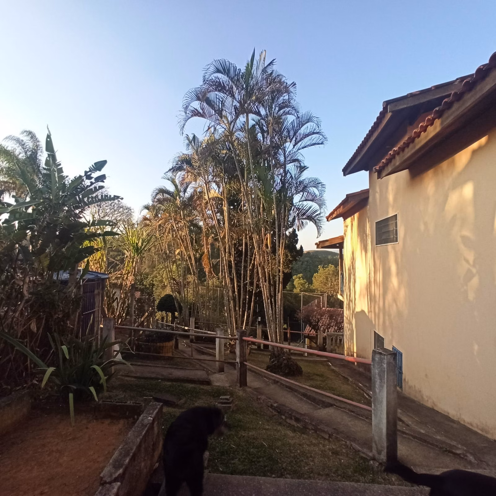 Chácara de 1 ha em São José dos Campos, SP