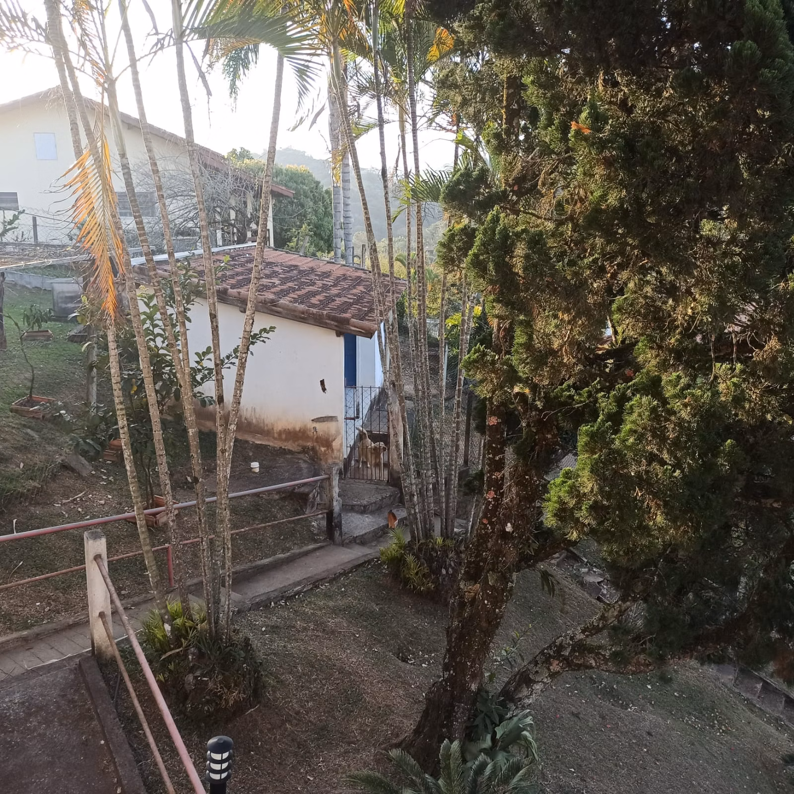 Chácara de 1 ha em São José dos Campos, SP