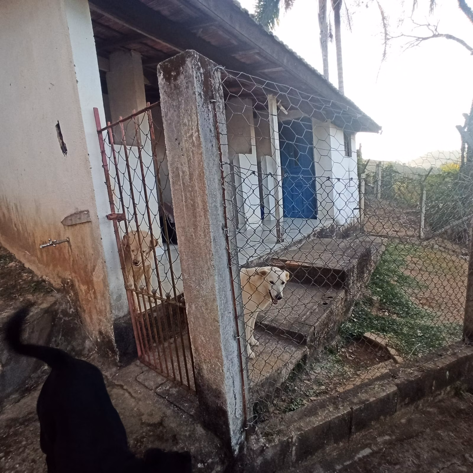 Chácara de 1 ha em São José dos Campos, SP