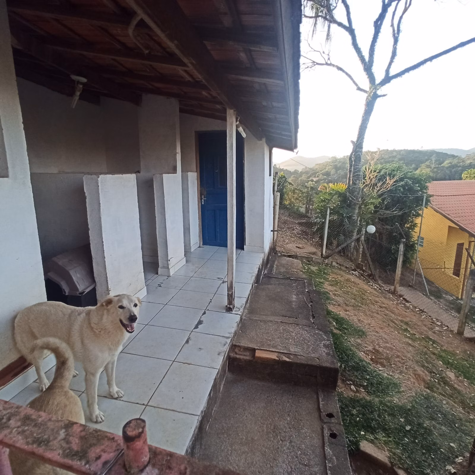 Chácara de 1 ha em São José dos Campos, SP