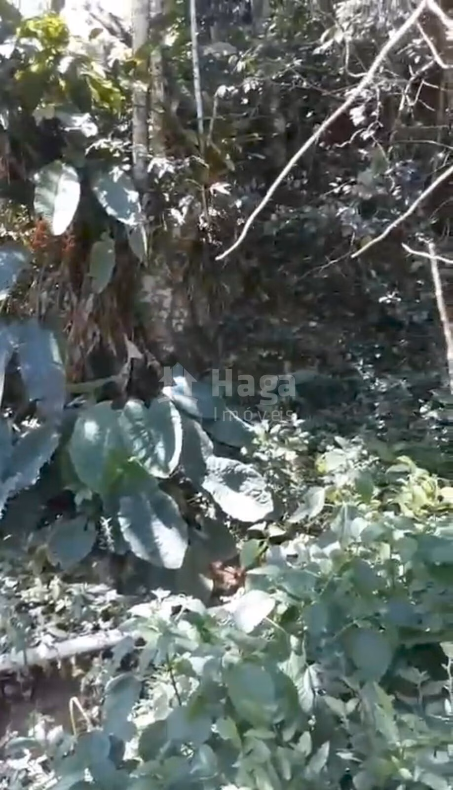 Terreno de 4 ha em Brusque, SC