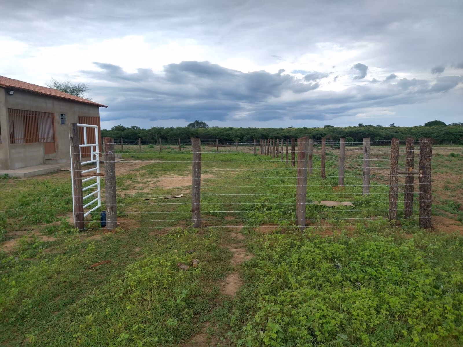 Fazenda de 1.550 ha em Ibotirama, BA