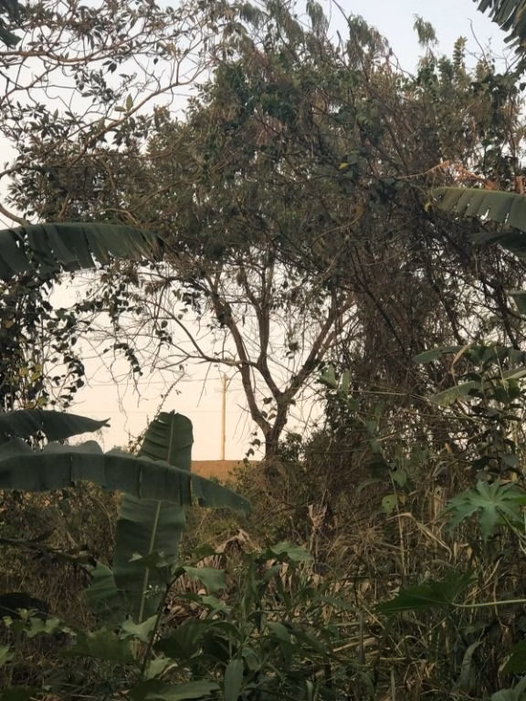 Terreno de 4,770 m² em São José dos Campos, SP