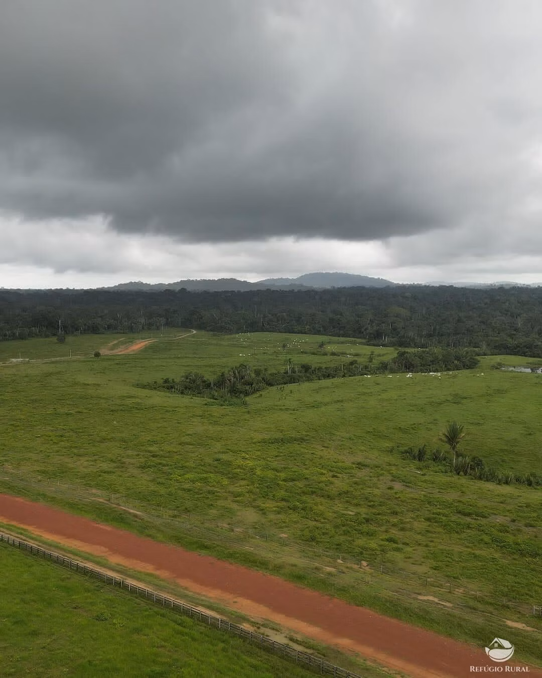 Fazenda de 4.040 ha em Trairão, PA