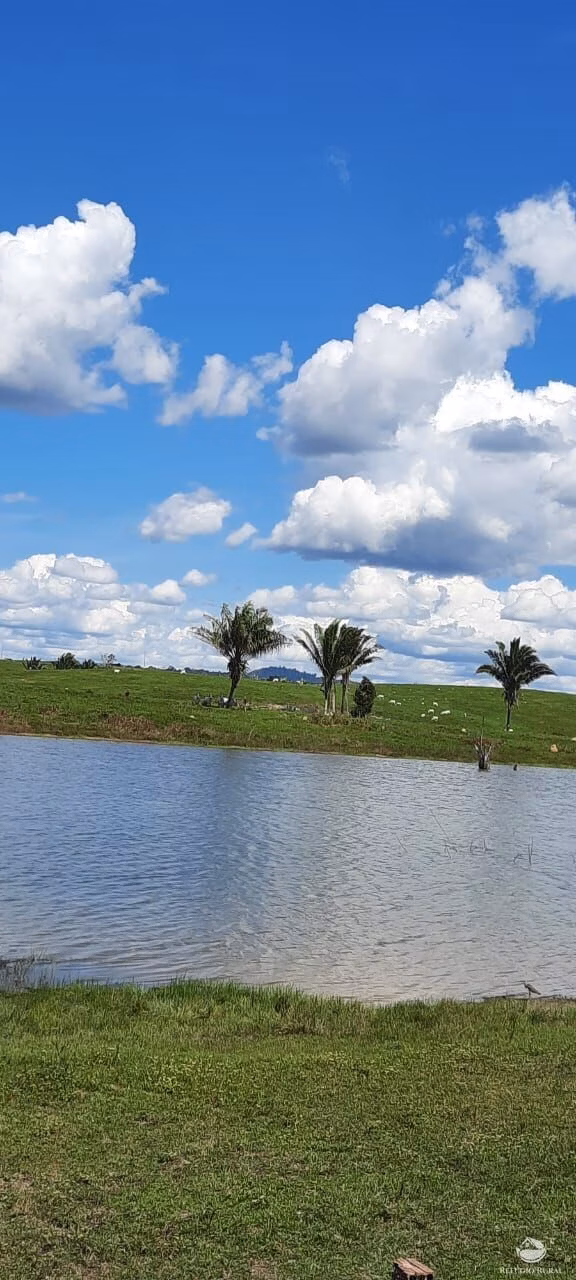 Fazenda de 4.040 ha em Trairão, PA