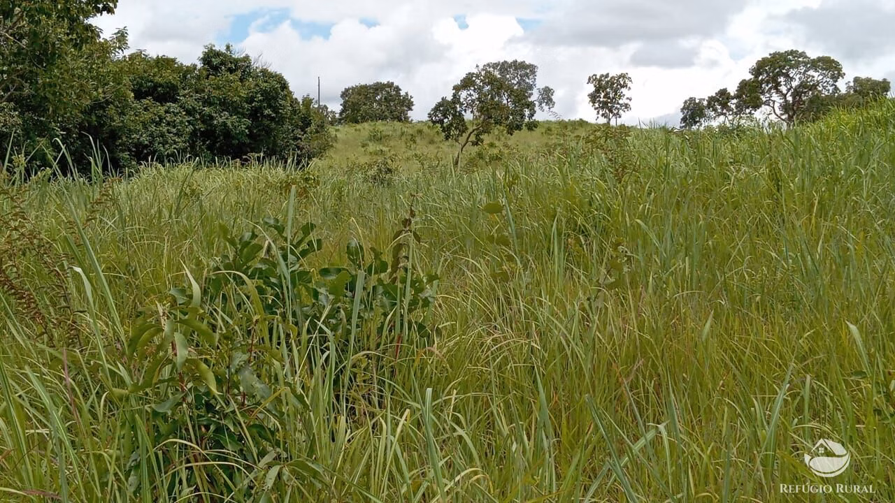 Fazenda de 387 ha em Nova América, GO