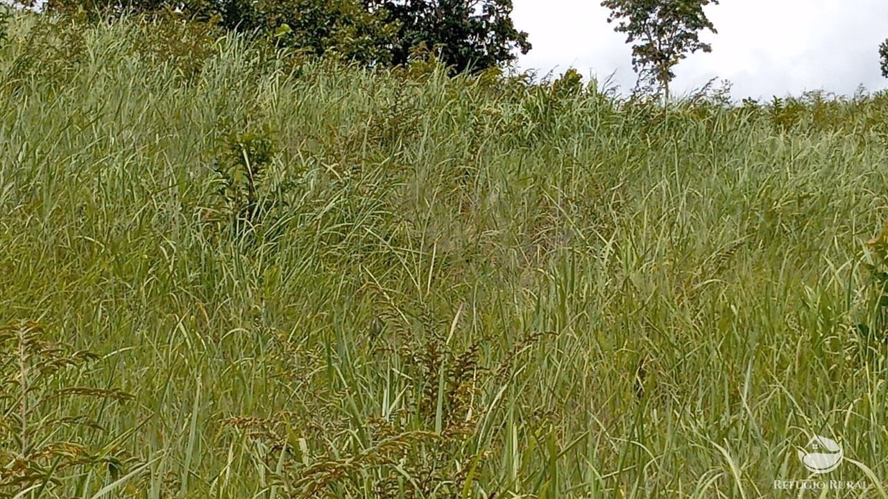 Fazenda de 387 ha em Nova América, GO