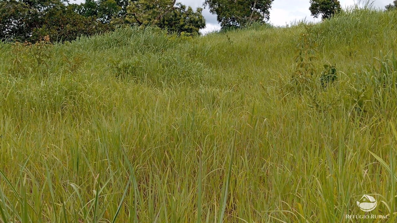 Fazenda de 387 ha em Nova América, GO