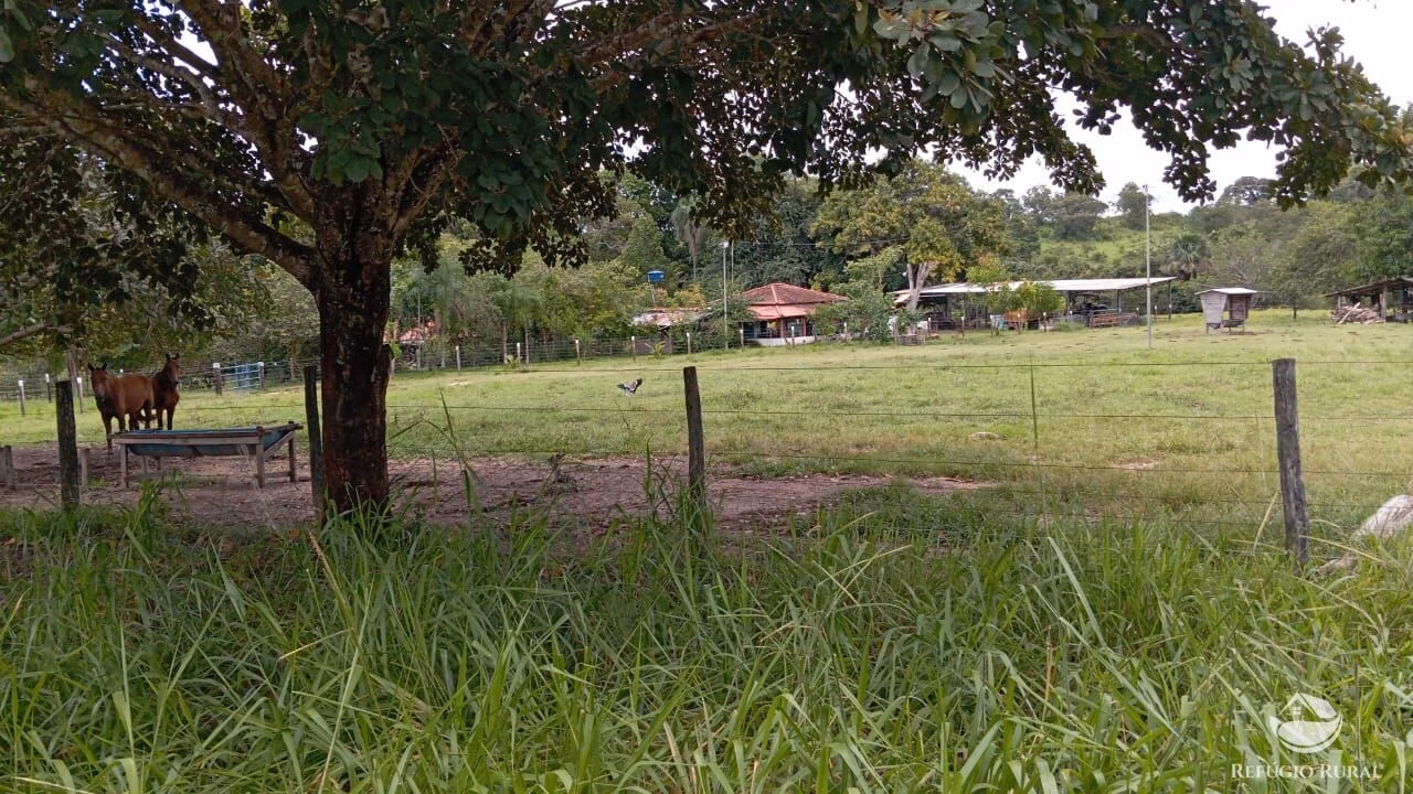 Fazenda de 387 ha em Nova América, GO