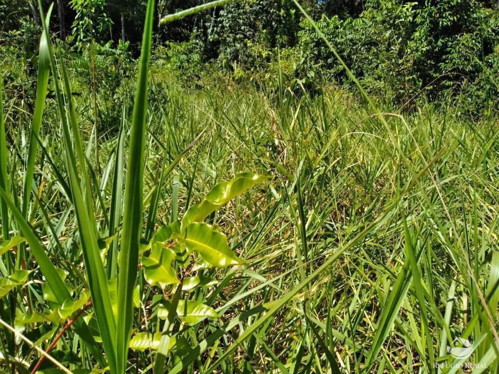 Farm of 13,250 acres in Tabaporã, MT, Brazil