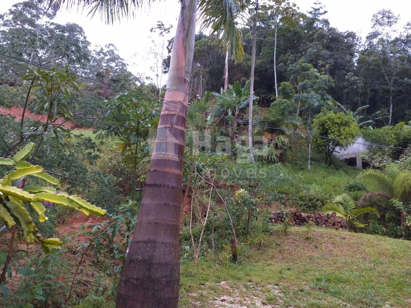 Country home of 13 acres in Brusque, SC, Brazil