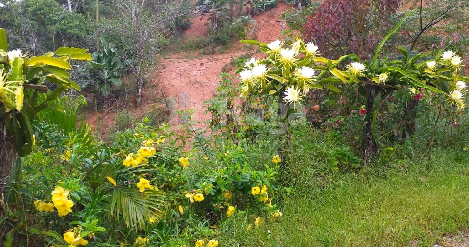 Country home of 13 acres in Brusque, SC, Brazil