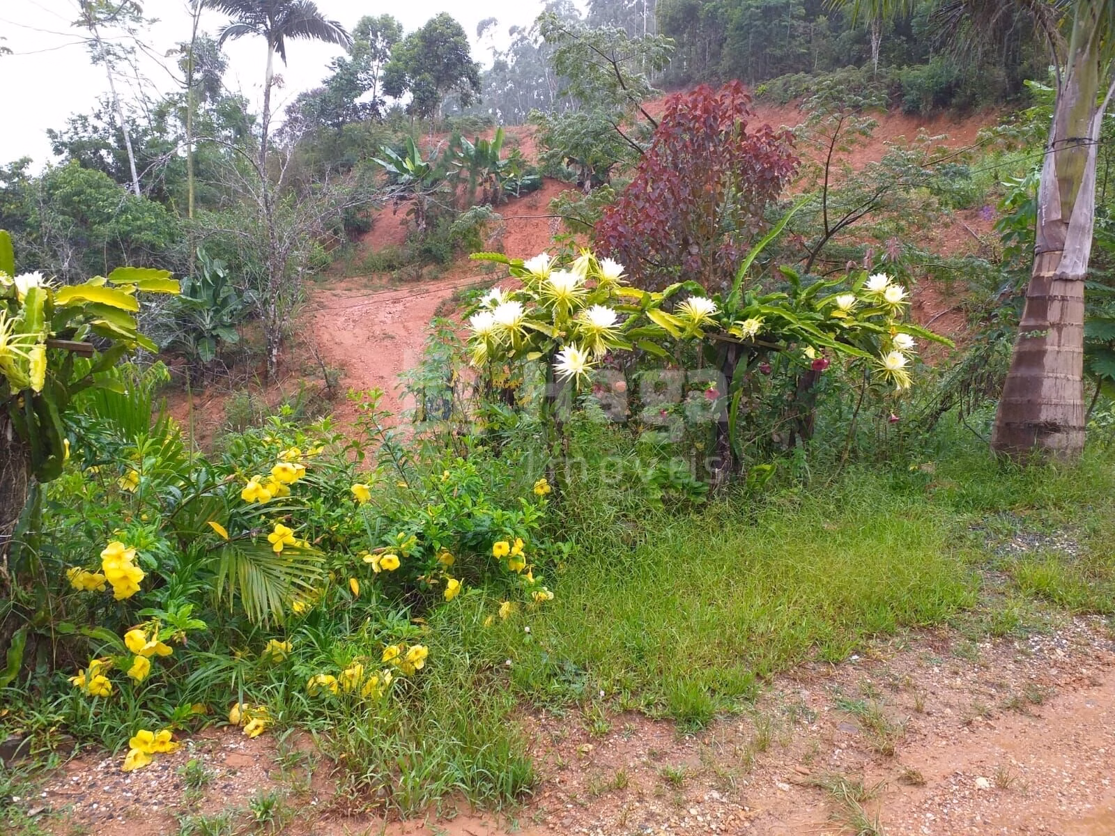 Country home of 13 acres in Brusque, SC, Brazil