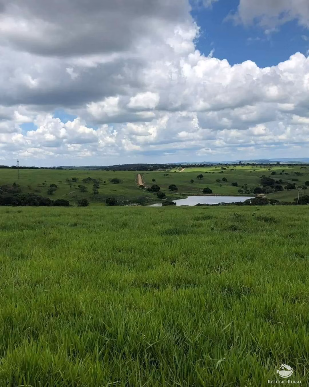 Fazenda de 6.000 ha em Bom Jardim, MA
