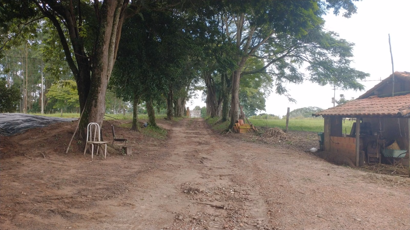 Small farm of 120 acres in Tatuí, SP, Brazil