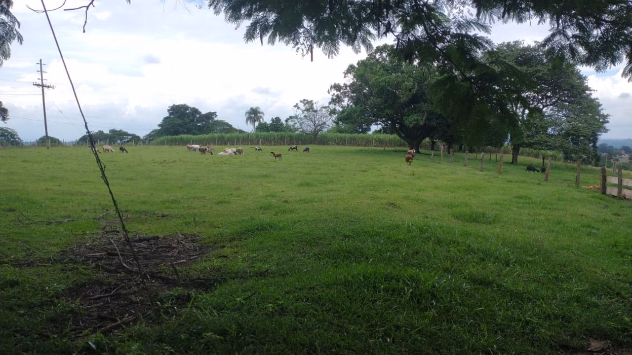 Small farm of 120 acres in Tatuí, SP, Brazil