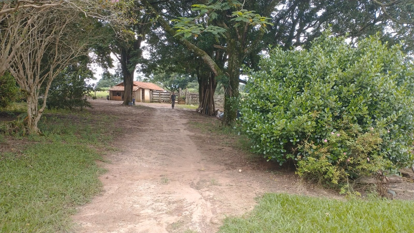 Small farm of 120 acres in Tatuí, SP, Brazil