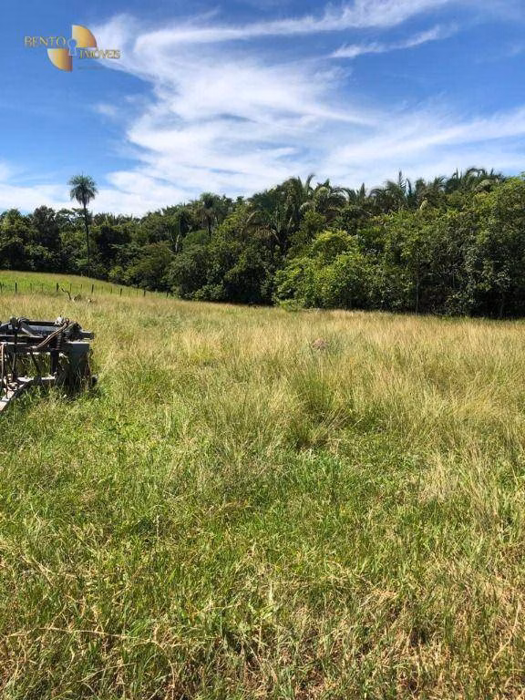 Fazenda de 283 ha em Nova Bandeirantes, MT