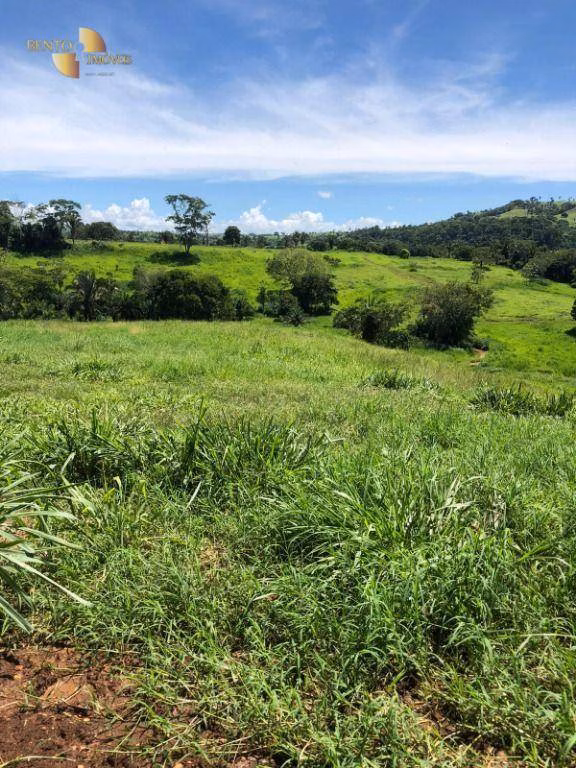 Fazenda de 283 ha em Nova Bandeirantes, MT