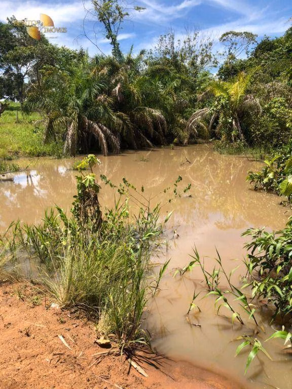 Fazenda de 283 ha em Nova Bandeirantes, MT