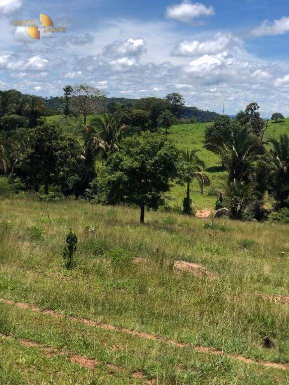 Fazenda de 283 ha em Nova Bandeirantes, MT