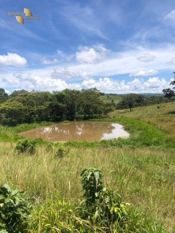 Fazenda de 283 ha em Nova Bandeirantes, MT