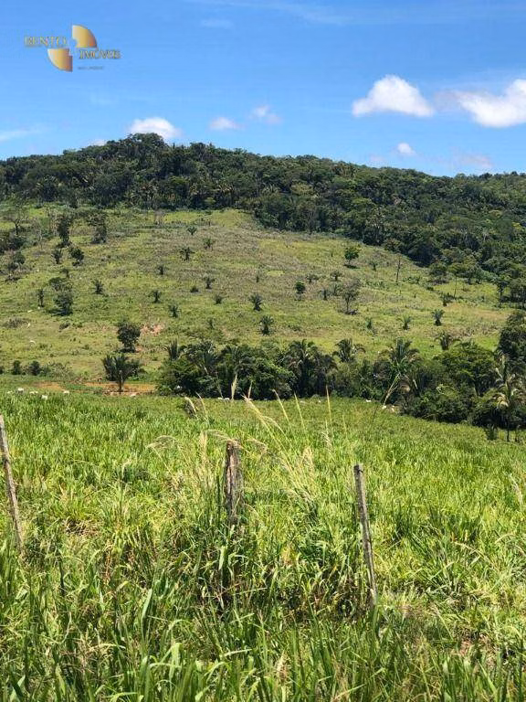 Fazenda de 283 ha em Nova Bandeirantes, MT