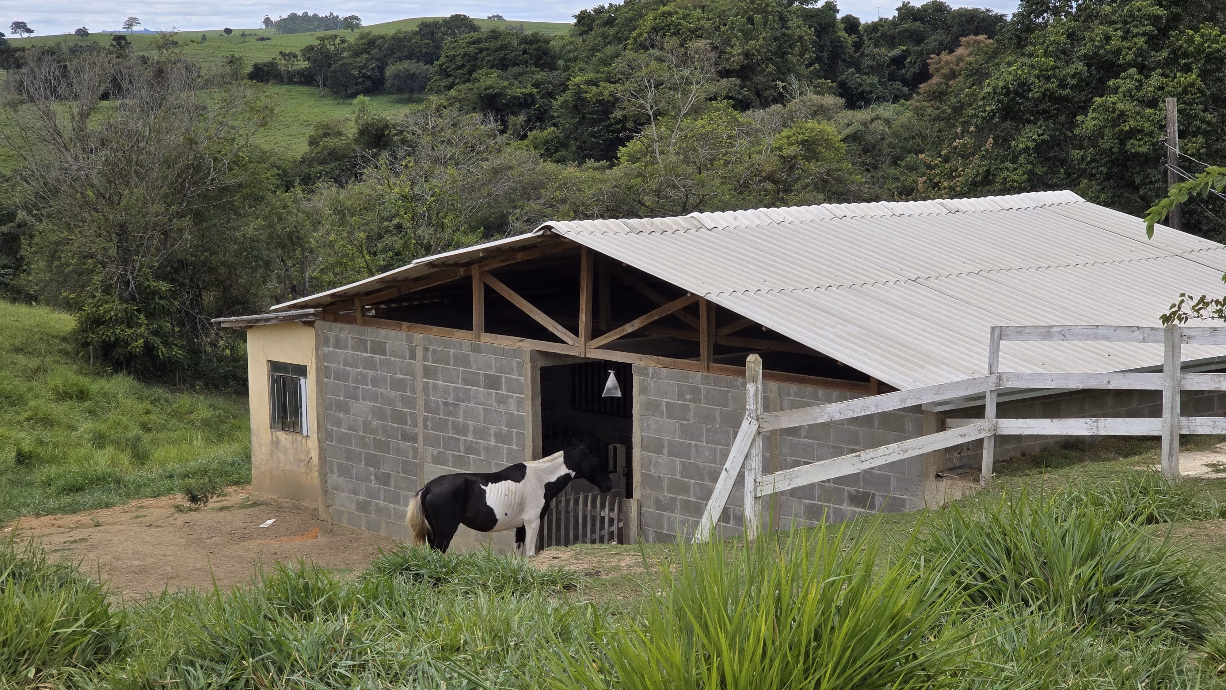 Country home of 75 acres in Japira, PR, Brazil