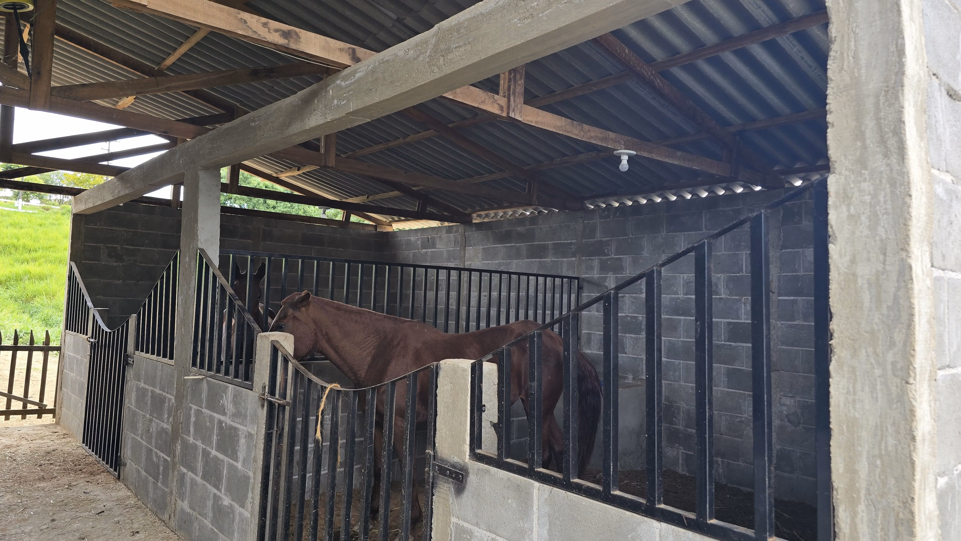 Country home of 75 acres in Japira, PR, Brazil