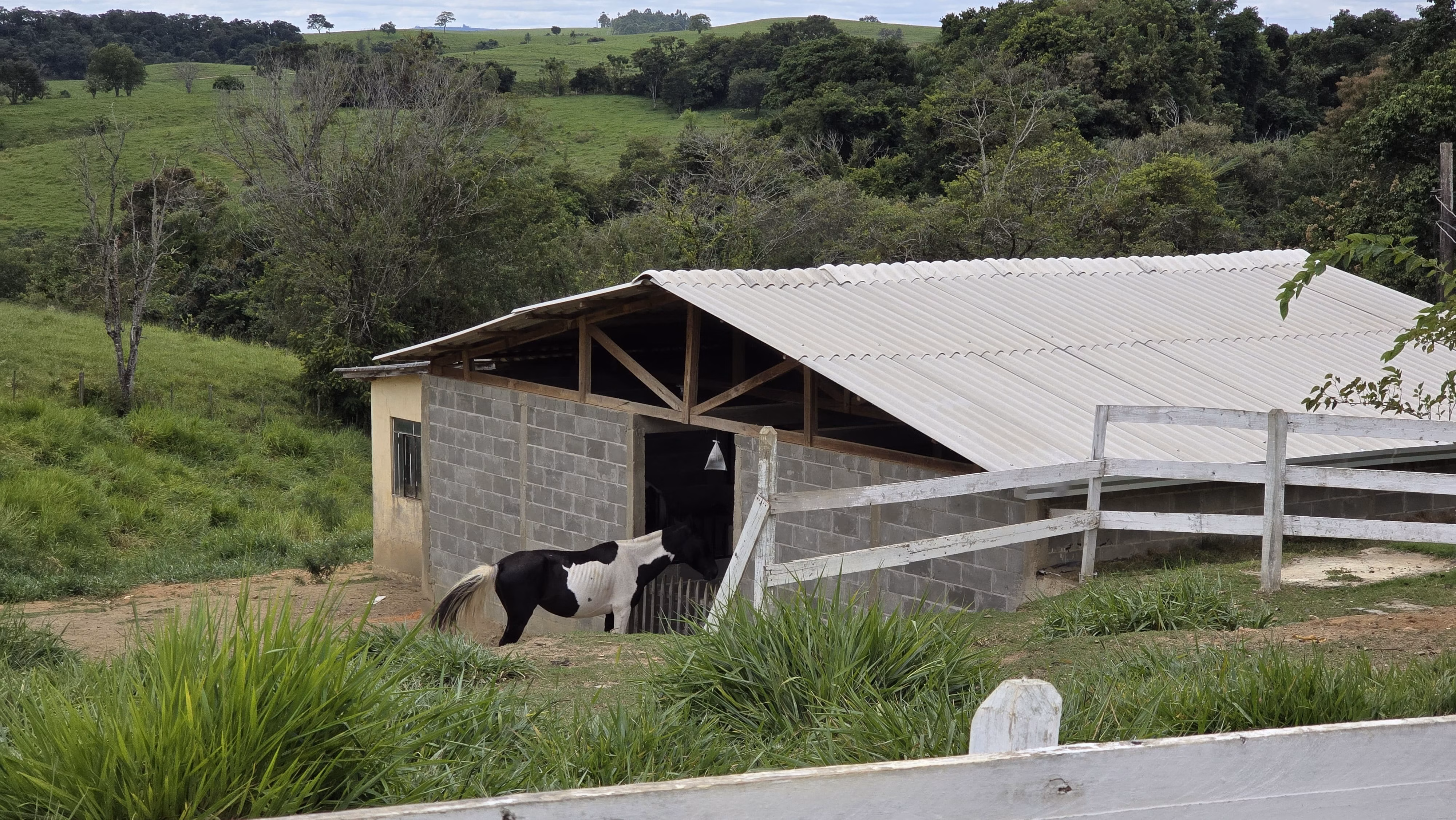 Country home of 75 acres in Japira, PR, Brazil