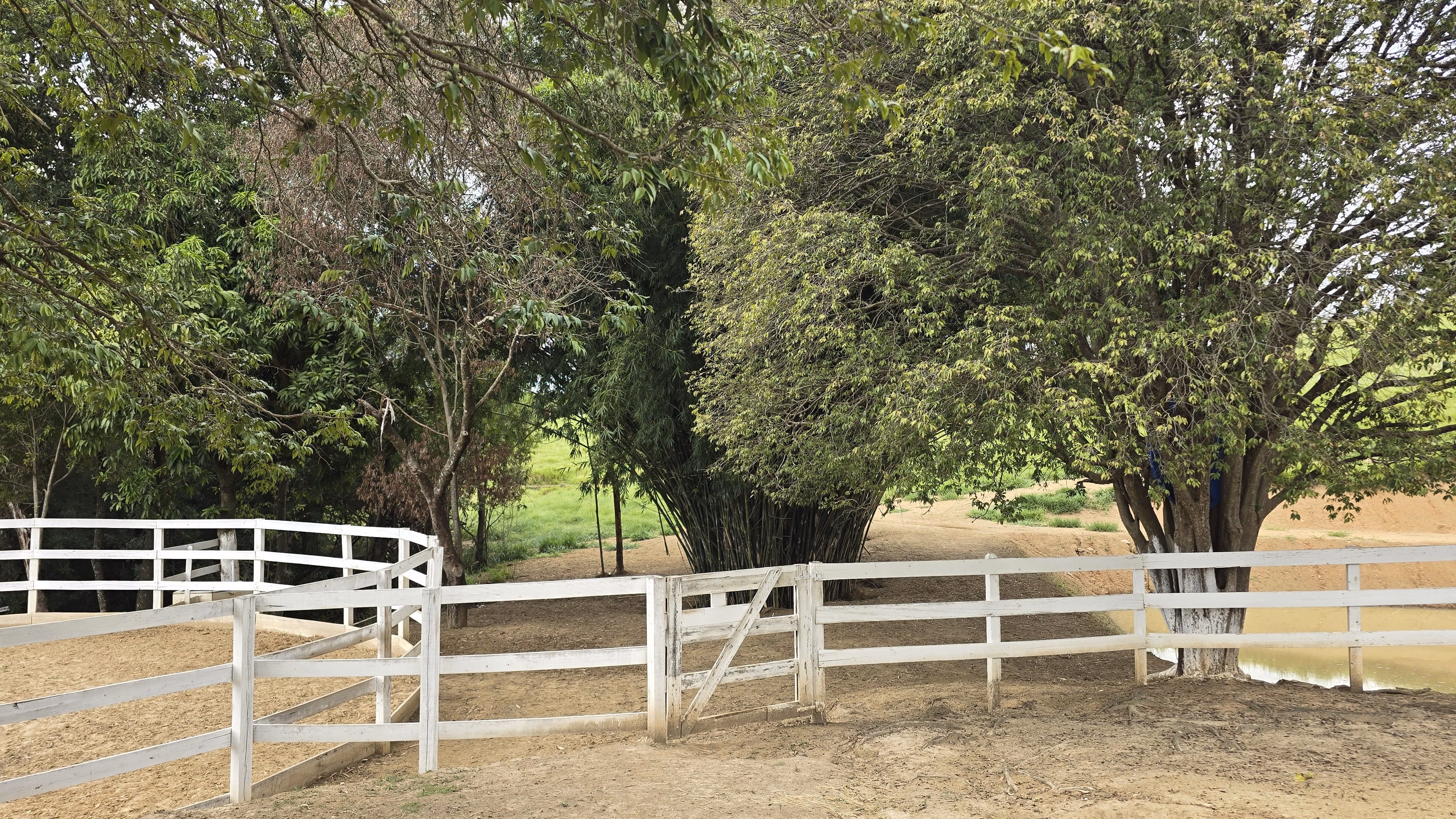 Country home of 75 acres in Japira, PR, Brazil
