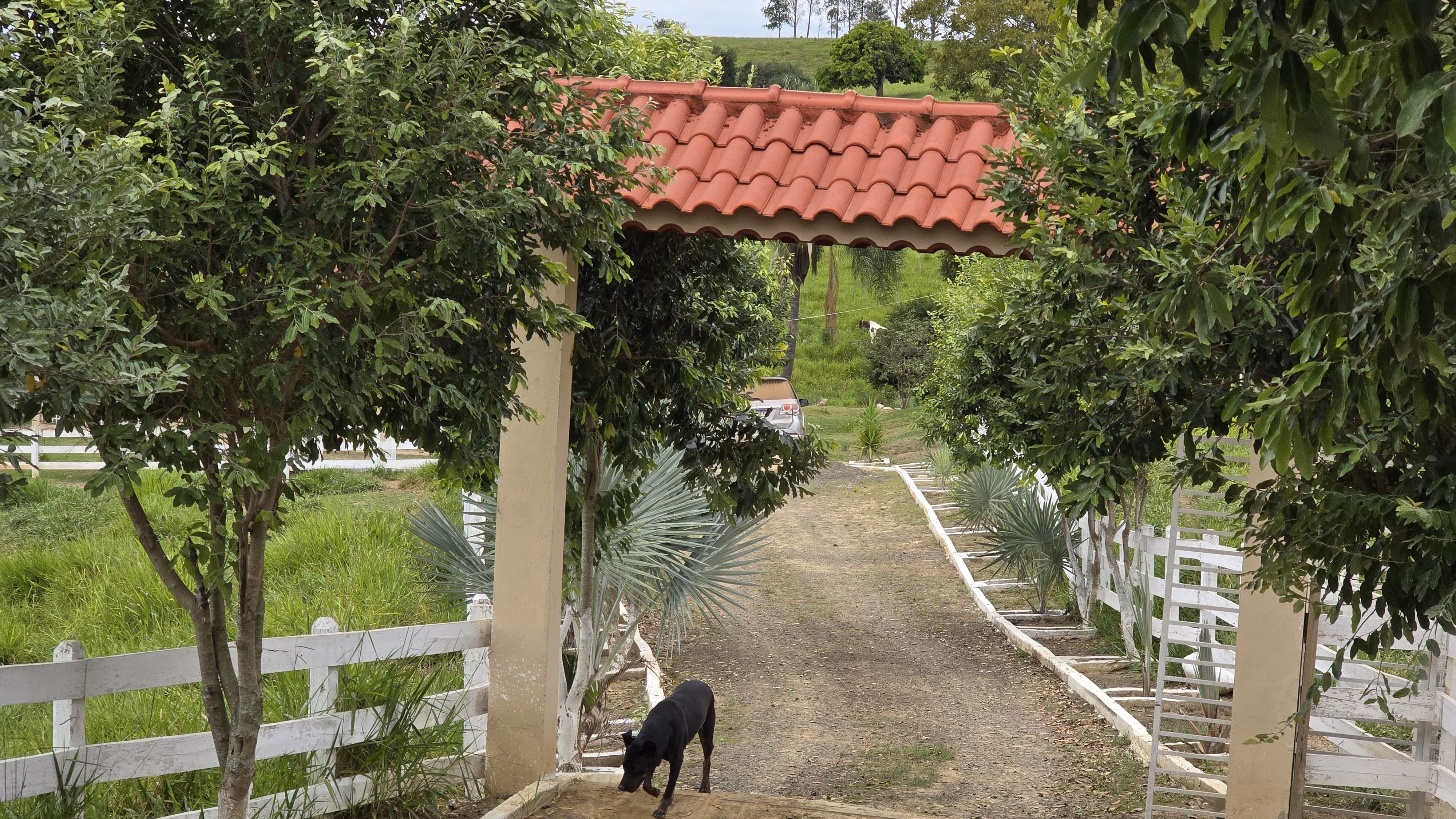 Country home of 75 acres in Japira, PR, Brazil
