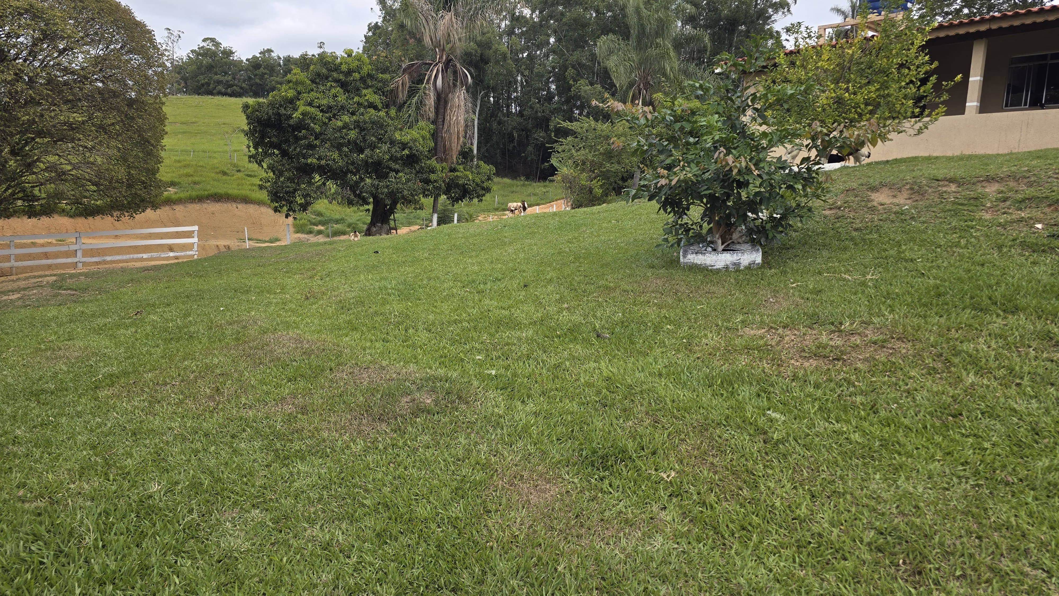 Country home of 75 acres in Japira, PR, Brazil