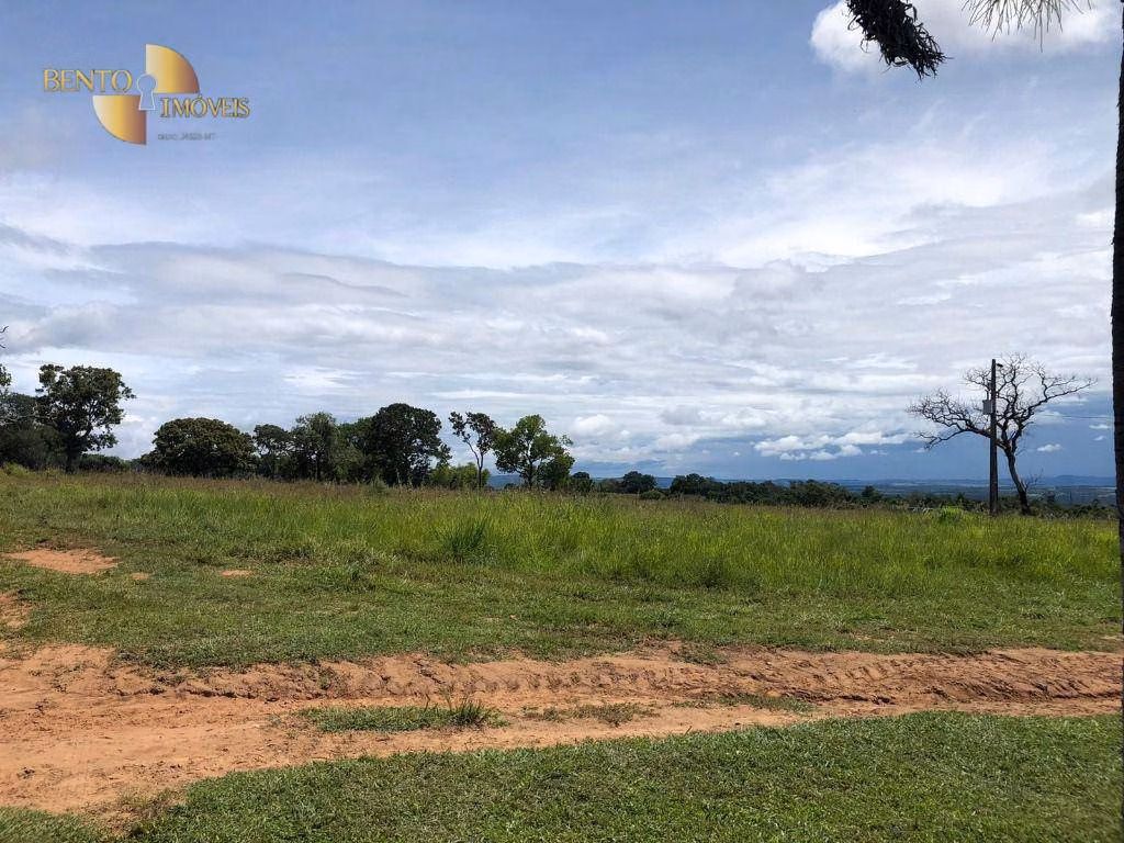 Fazenda de 502 ha em Juscimeira, MT