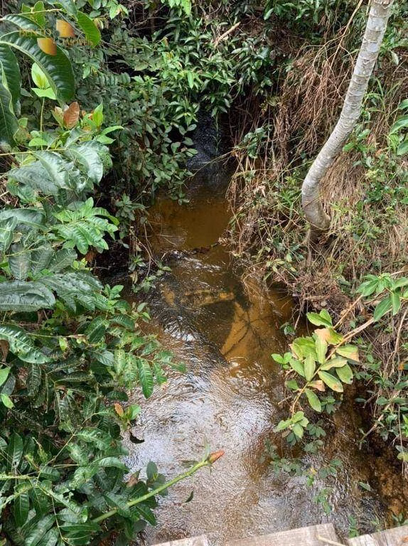 Fazenda de 502 ha em Juscimeira, MT