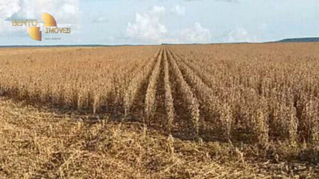 Fazenda de 1.852 ha em Nova Mutum, MT