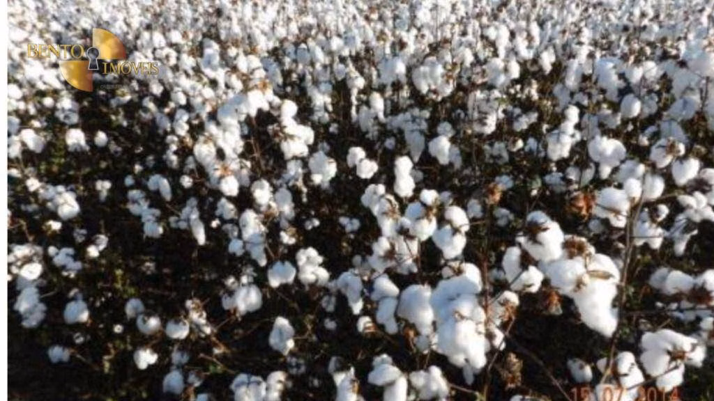 Fazenda de 1.852 ha em Nova Mutum, MT