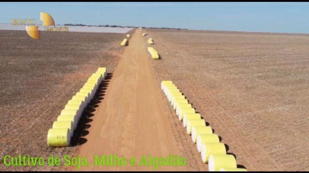 Fazenda de 1.852 ha em Nova Mutum, MT