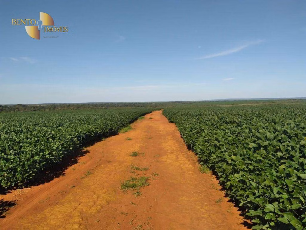 Fazenda de 1.852 ha em Nova Mutum, MT