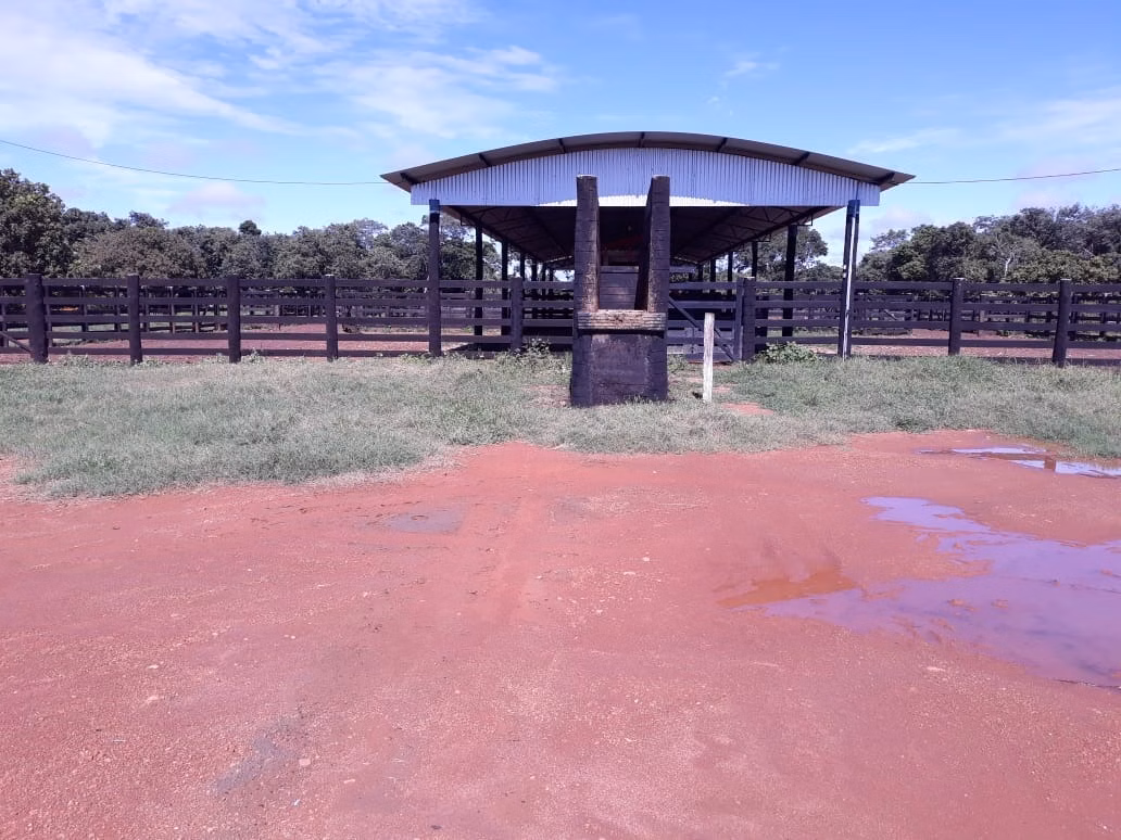 Fazenda de 1.212 ha em Porangatu, GO