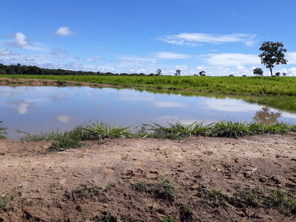 Fazenda de 1.212 ha em Porangatu, GO