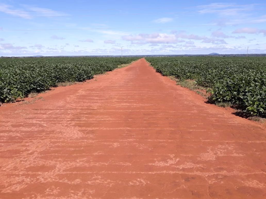 Fazenda de 1.212 ha em Porangatu, GO