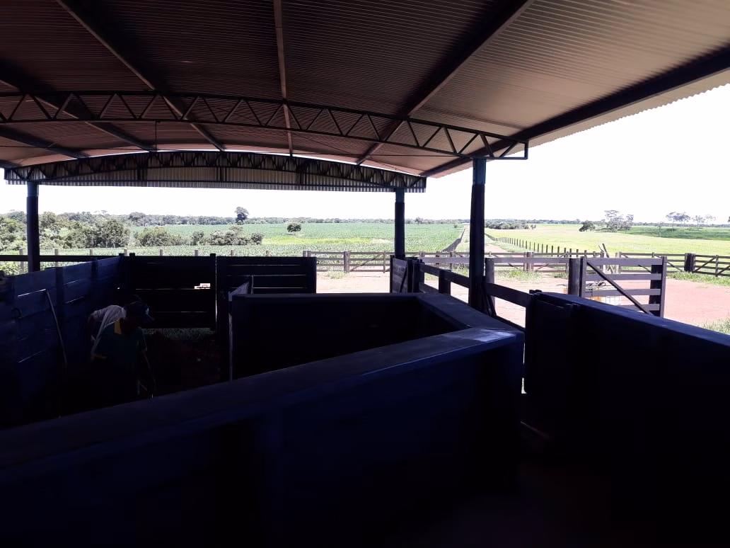 Fazenda de 1.212 ha em Porangatu, GO