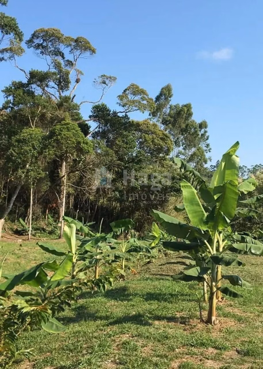 Farm of 7 acres in Nova Trento, SC, Brazil