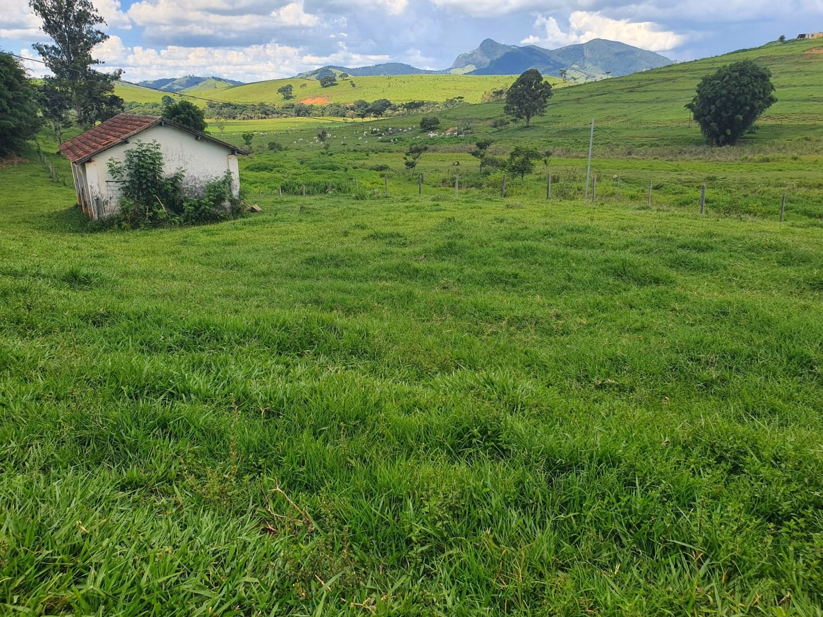 Farm of 576 acres in Itajubá, MG, Brazil