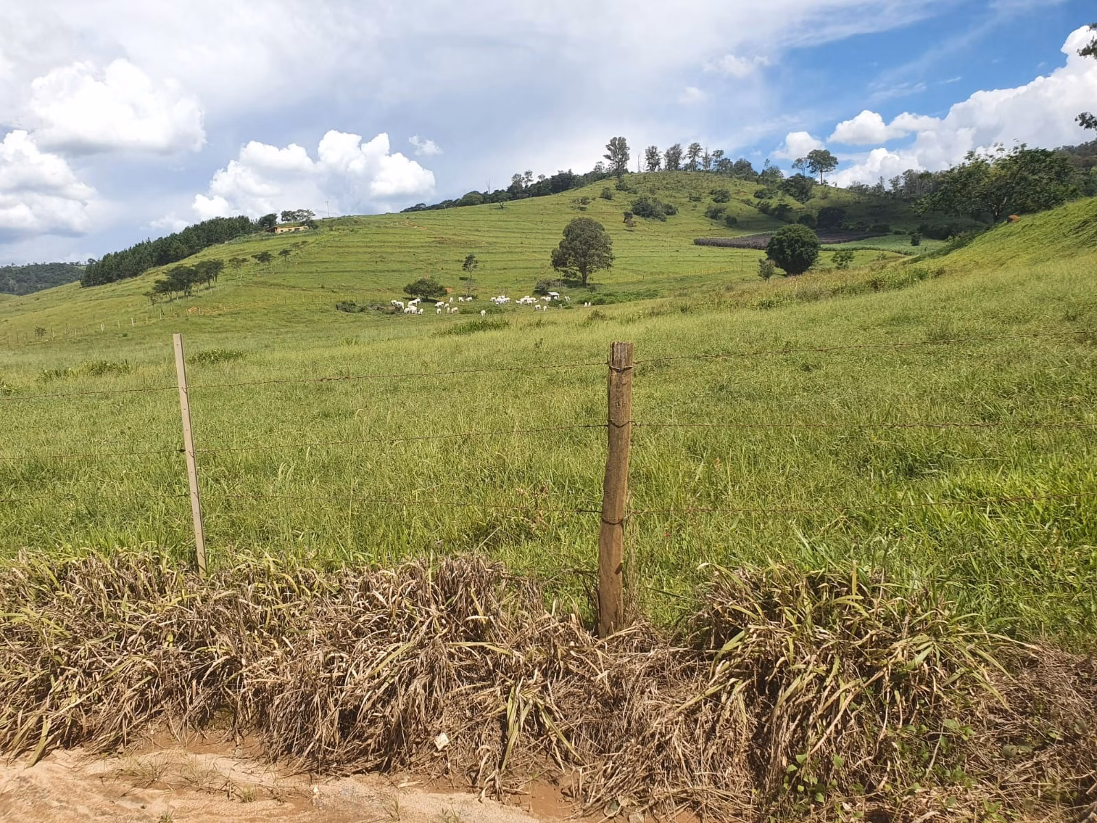 Farm of 576 acres in Itajubá, MG, Brazil